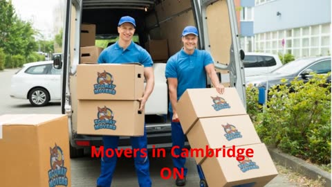 Ecoway Movers in Cambridge, ON