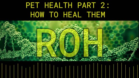 Pet Health Part 2: How to Heal Them