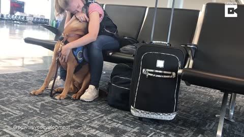 Support dog recognizes panic attacks in owner