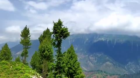 Beautiful valley kpk Pakistan 🇵🇰