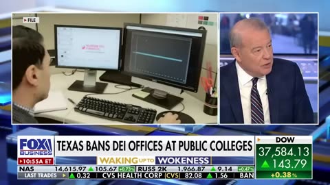 Education expert torches DEI: 'Forces anti-Americanism'