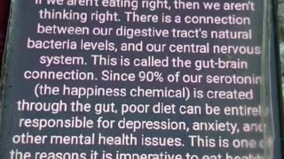 Gut -Brain connection - you eat bad food - you can’t think