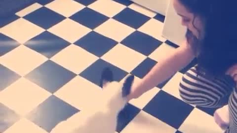 French Bulldog puppy shows off impressive tricks