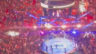 UFC crowd goes ballistic for President Trump