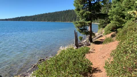 Central Oregon – Paulina Lake “Grand Loop” – Hiking Between the Bushes on the Shoreline Trail