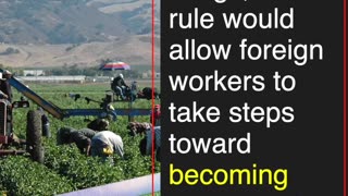 Seasonal Workers to Become Permanent Residents?