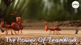 Teamwork and leadership