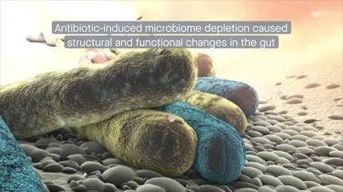 The intestinal microbiota shapes gut physiology and regulates enteric neurons and glia