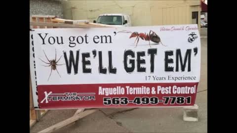 Arguello Termite & Pest Control - (563) 499-7781