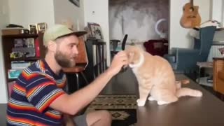 How I trained my cat 🐈 #fyp #foryoupage #catsoftiktok #CatStevens #fypシ #trendings Discraption