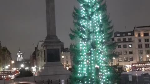 Christmas tree Trafalgar
