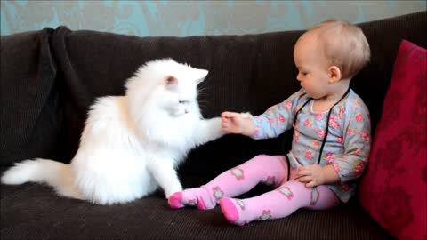 CAT FIGHT WITH CUTE BABY.