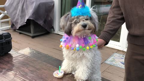 Marianne turns 1