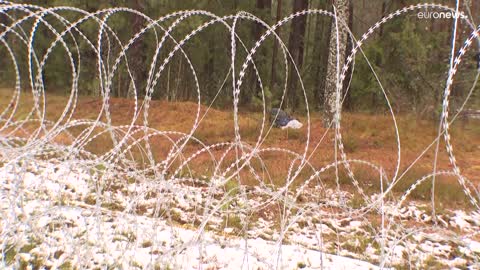 Frontière avec le Bélarus : la Lituanie veut prolonger l'état d'urgence