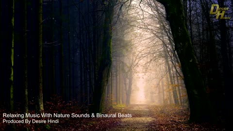 "Tranquil Nature Sounds: Relaxing Ambient Music for Stress Relief | Best for Calm & Serenity"