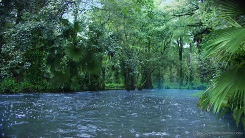 Sleep to Relaxing Raindrops + Water Sounds