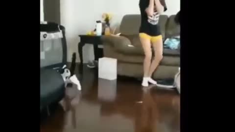 funney video fighting cat