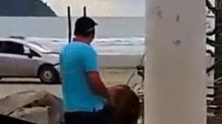 Car Tries To Run Over Pedestrian At The Beach