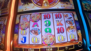 Buffalo Gold Revolution Slot Machine Fun Play With Big Wins Bonuses And Jackpots!