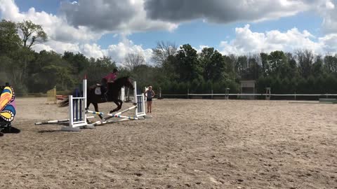 My Riding Progress in 20 Lessons Learning to canter jump falling out of the saddle_