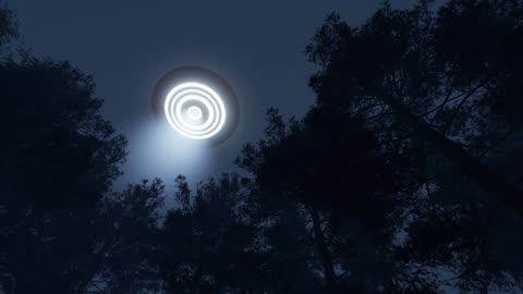 3D Render of UFO in the Night Sky Over the Forest A0010