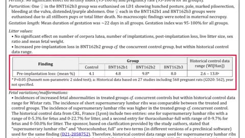 Prof. Robert Clancy Calls Out Fertility Red Flags Found in Pfizer's