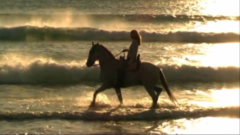 Woman on horse at seashore, riding through surf