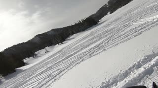 Teton Snowmobile Tour Playing in Powder