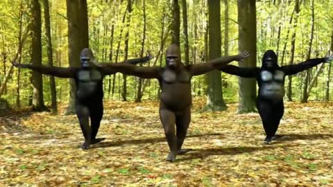 Funny dancing Monkey video