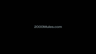 2000 Mules Theatrical Trailer