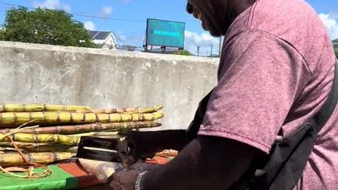 🇩🇲 Sugarcane Man