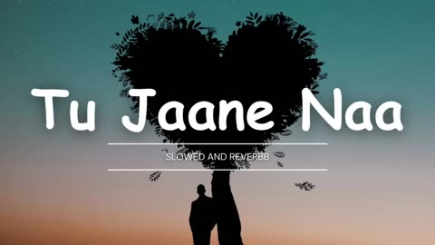 Tu Jaane Na [Slowed+Reverb] - Atif Aslam | Ranbir Kapoor | Katrina Kaif