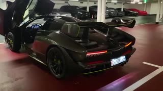 Mclaren Senna