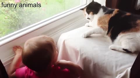 baby with funny cat