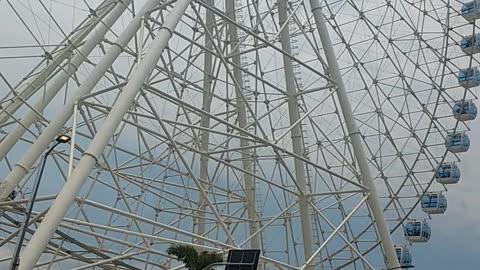 A ferris wheel near traffic! How crazy!!!