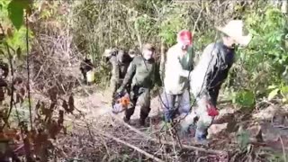 Cerca de una hectárea de bosque en la vereda La Girona de Lebrija, fueron talados