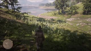 Red Dead Redemption 2 - Picked to Perfection Achievement