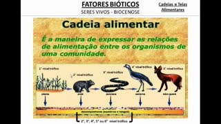 Cadeia e Teia Alimentar - MinhaEscolaWeb