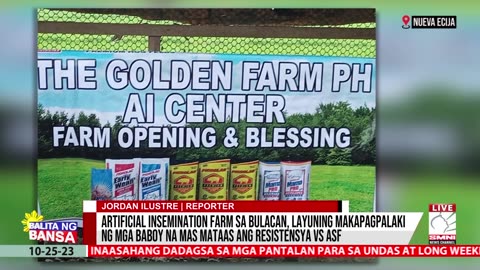 Artificial insemination farm sa Bulacan, layuning makapagpalaki ng mga baboy na mas mataas ang resistensya vs ASF