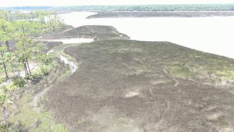 Pellicer Creek delta, airborne view, over Flagler county