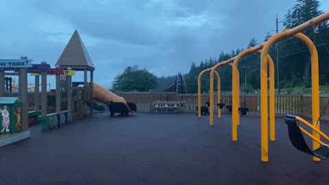 Mama Bear and Cubs Take Over Playground in Juneau, Alaska