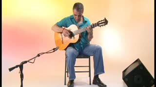 Flamenco Style Guitar