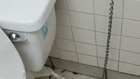 Chain up your restroom supplies!!!