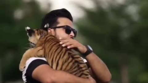 Tiger Recognizes His Owner After Years - Heartwarming Reunion