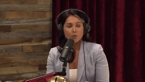 Tulsi Gabbard on the Response to the Maui Wildfires