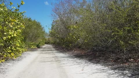 Lover's Key, FL, Beach Bicycling Exploring 2022-04-24 part 2 of 2