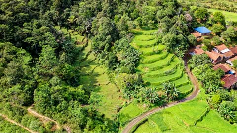 Traditional music ethnic for relaxing - Sundanese ethnic music from Indonesia