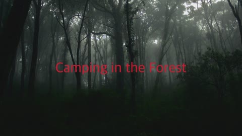 Camping in the Forest