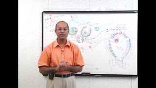 Female Reproductive Cycle | Menstrual Cycle | Hormones