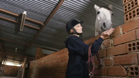 Pretty woman feeds the horse with sugar in stable